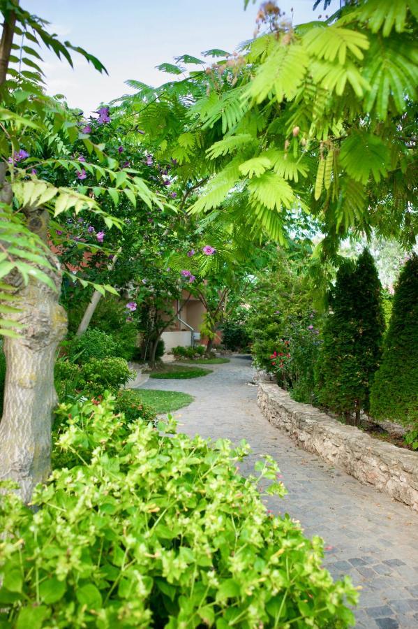 Bed and Breakfast Vamabel House Vama Veche Exteriér fotografie