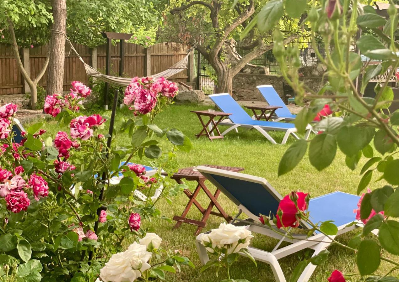 Bed and Breakfast Vamabel House Vama Veche Exteriér fotografie