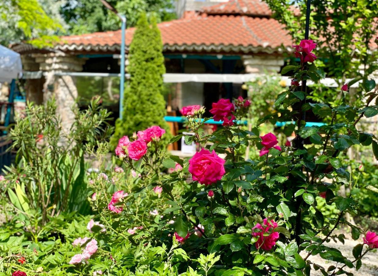Bed and Breakfast Vamabel House Vama Veche Exteriér fotografie