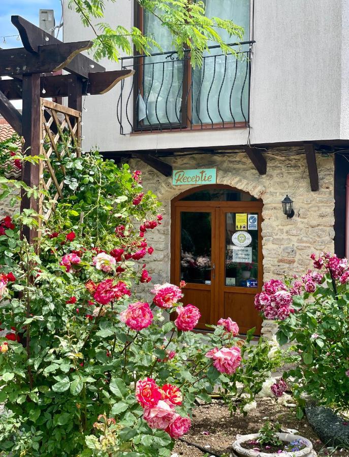 Bed and Breakfast Vamabel House Vama Veche Exteriér fotografie