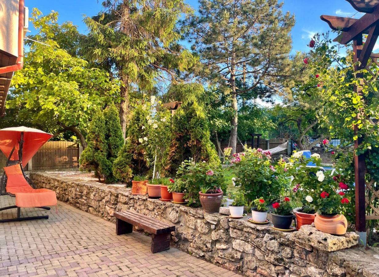 Bed and Breakfast Vamabel House Vama Veche Exteriér fotografie